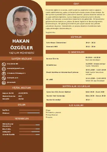Yazılım Mühendisi Cv Örnekleri cv indir